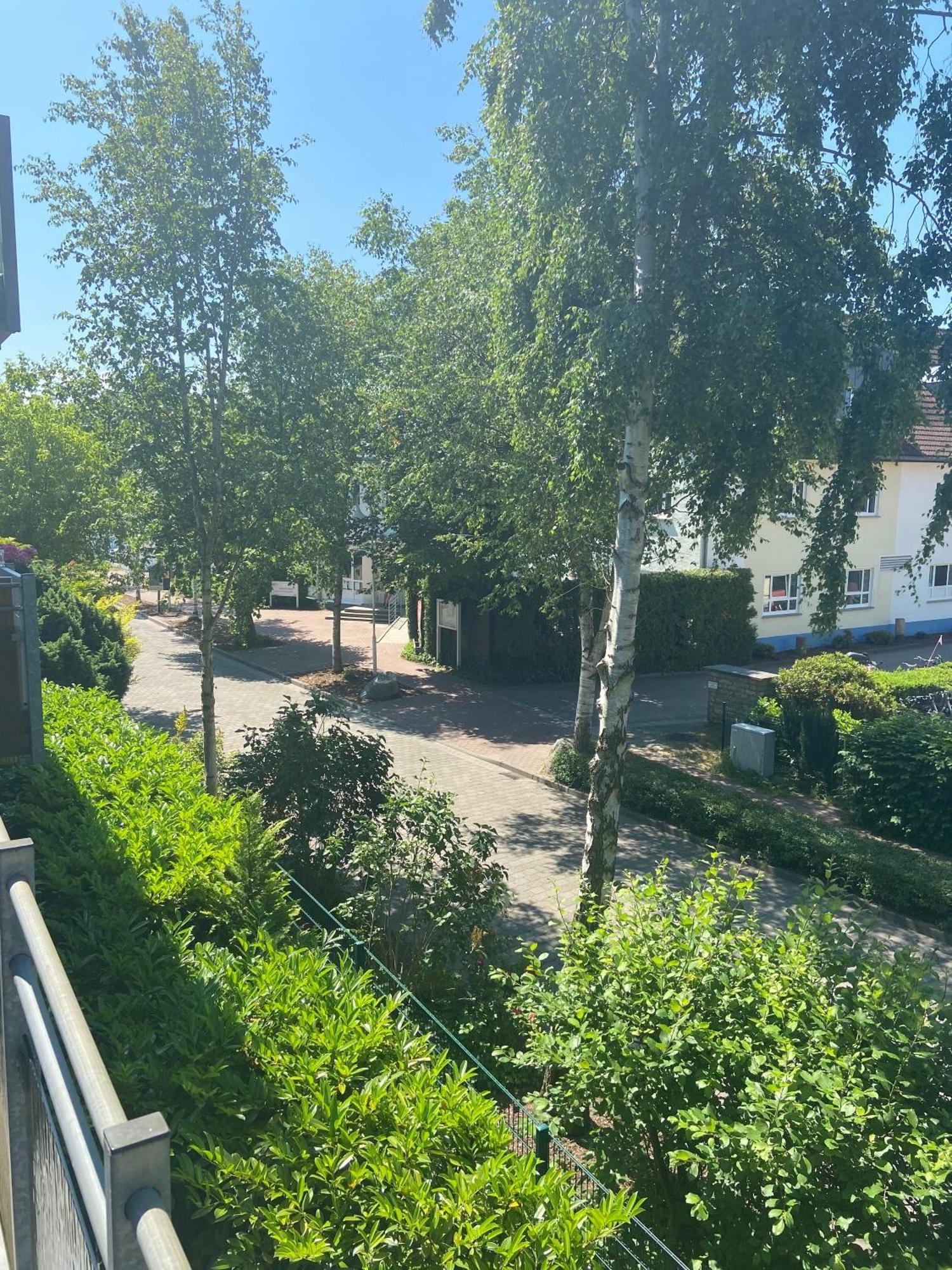 Meeresrauschen Zingst Εξωτερικό φωτογραφία
